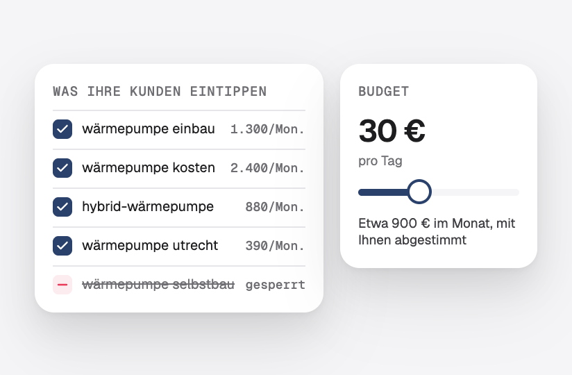 Suchbegriffe, die Kunden eingeben, mit ihren monatlichen Suchanfragen, ein ausgeschlossener Begriff und ein Tagesbudget