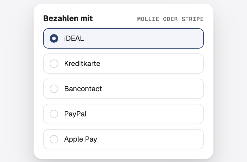 Eine Auswahl an Zahlungsarten: iDEAL, Karte, Bancontact, PayPal und Apple Pay