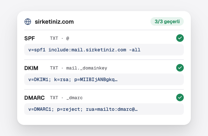 your-company.nl'nin SPF, DKIM ve DMARC kayıtları, üçü de geçerli