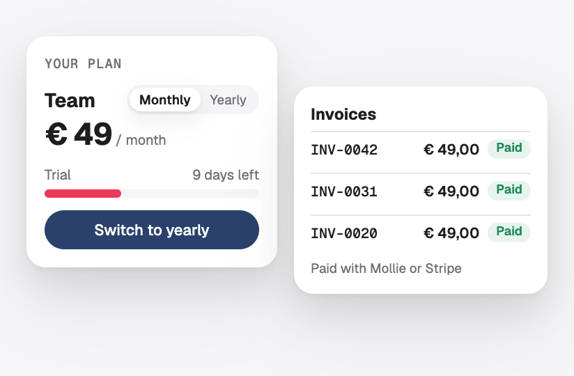 A monthly plan with a trial period, and paid invoices through Mollie or Stripe